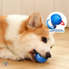 SmartBall™ ¡La Pelota Interactiva para tu Mascota! + EBOOK GRATIS 🎁