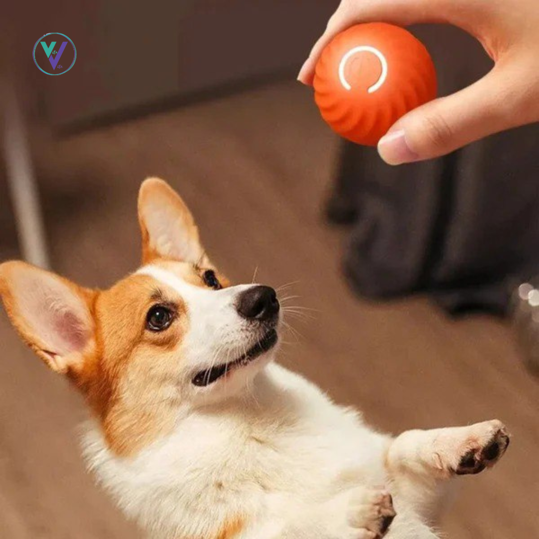 SmartBall™ ¡La Pelota Interactiva para tu Mascota! + EBOOK GRATIS 🎁